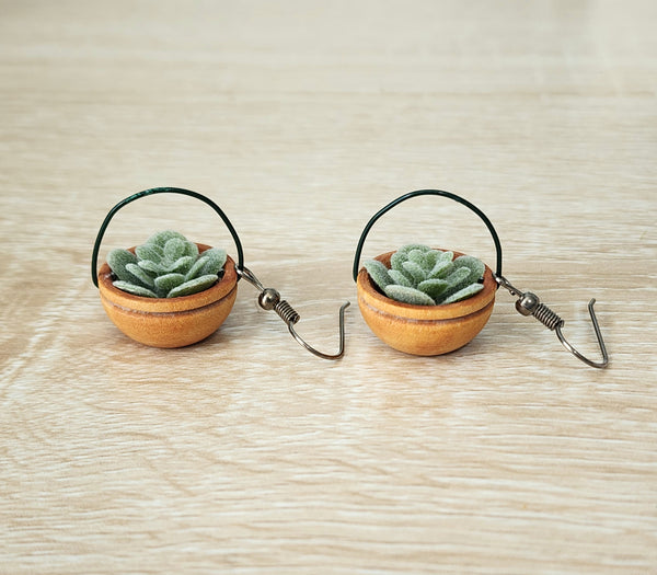 Hanging Plant Earrings - Succulents