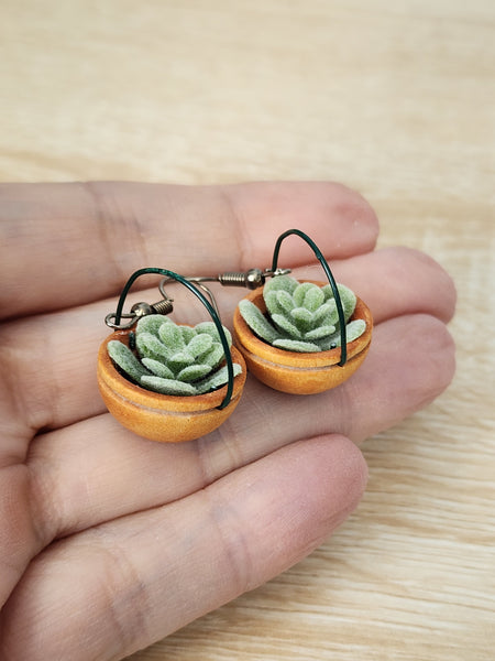 Hanging Plant Earrings - Succulents