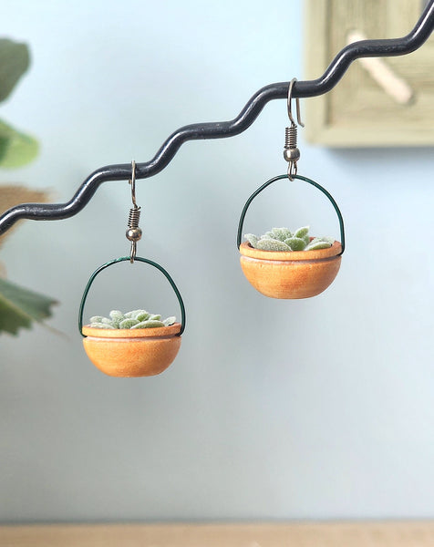 Hanging Plant Earrings - Succulents