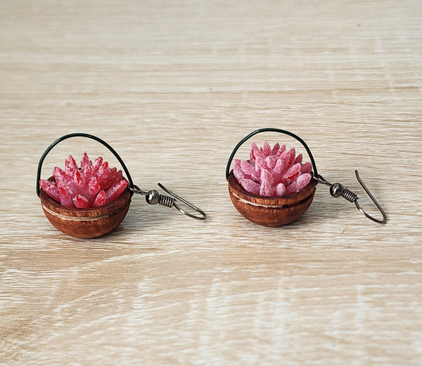 Hanging Plant Earrings - Succulents