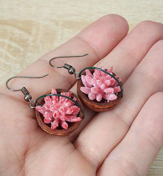Hanging Plant Earrings - Succulents